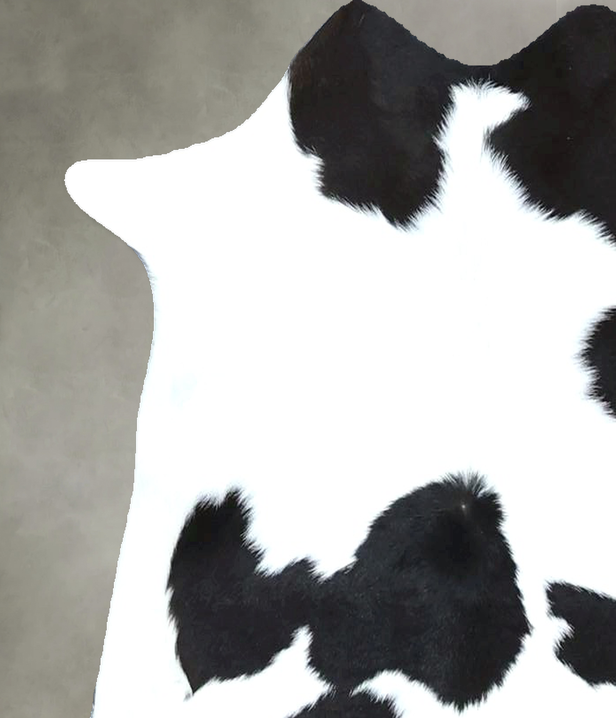 Calfhide Approx 2'x3' #B22062 by Hudson Hides