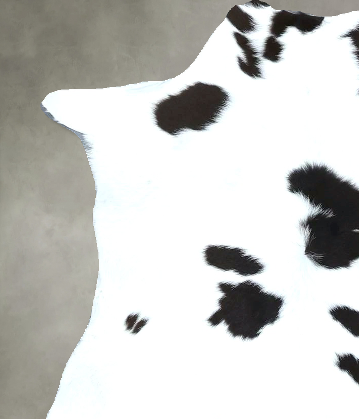 Calfhide Approx 2'x3' #B22063 by Hudson Hides