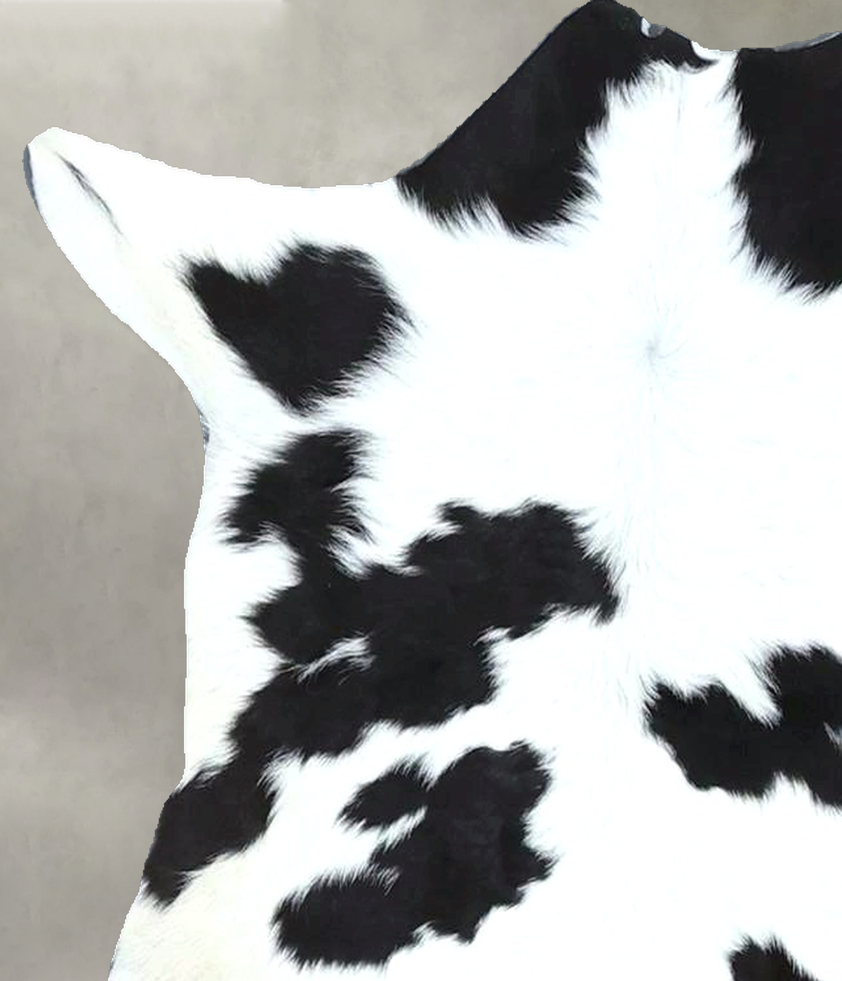 Calfhide Approx 2'x3' #B22064 by Hudson Hides