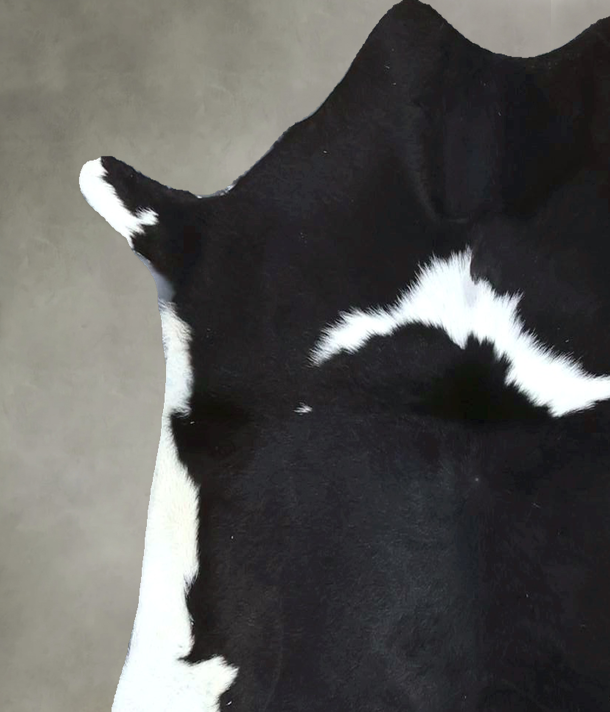 Calfhide Approx 2'x3' #B22069 by Hudson Hides
