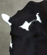 Calfhide Approx 2'x3' #B22070 by Hudson Hides