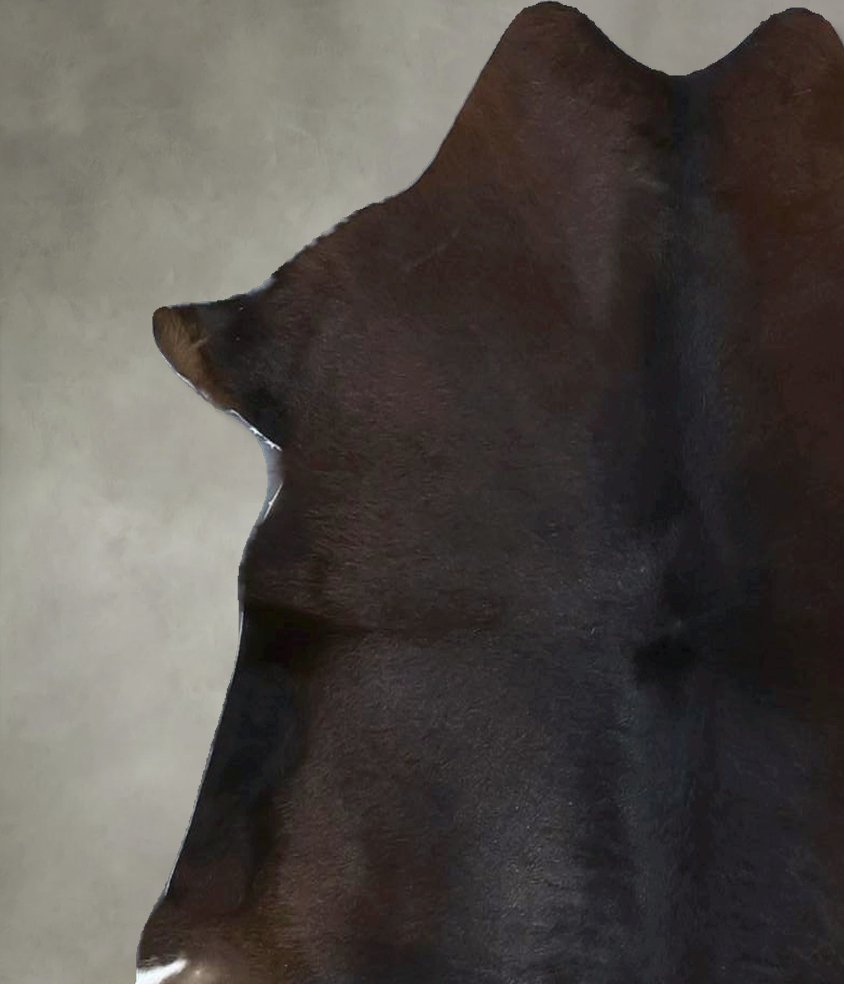 Calfhide Approx 2'x3' #B22072 by Hudson Hides
