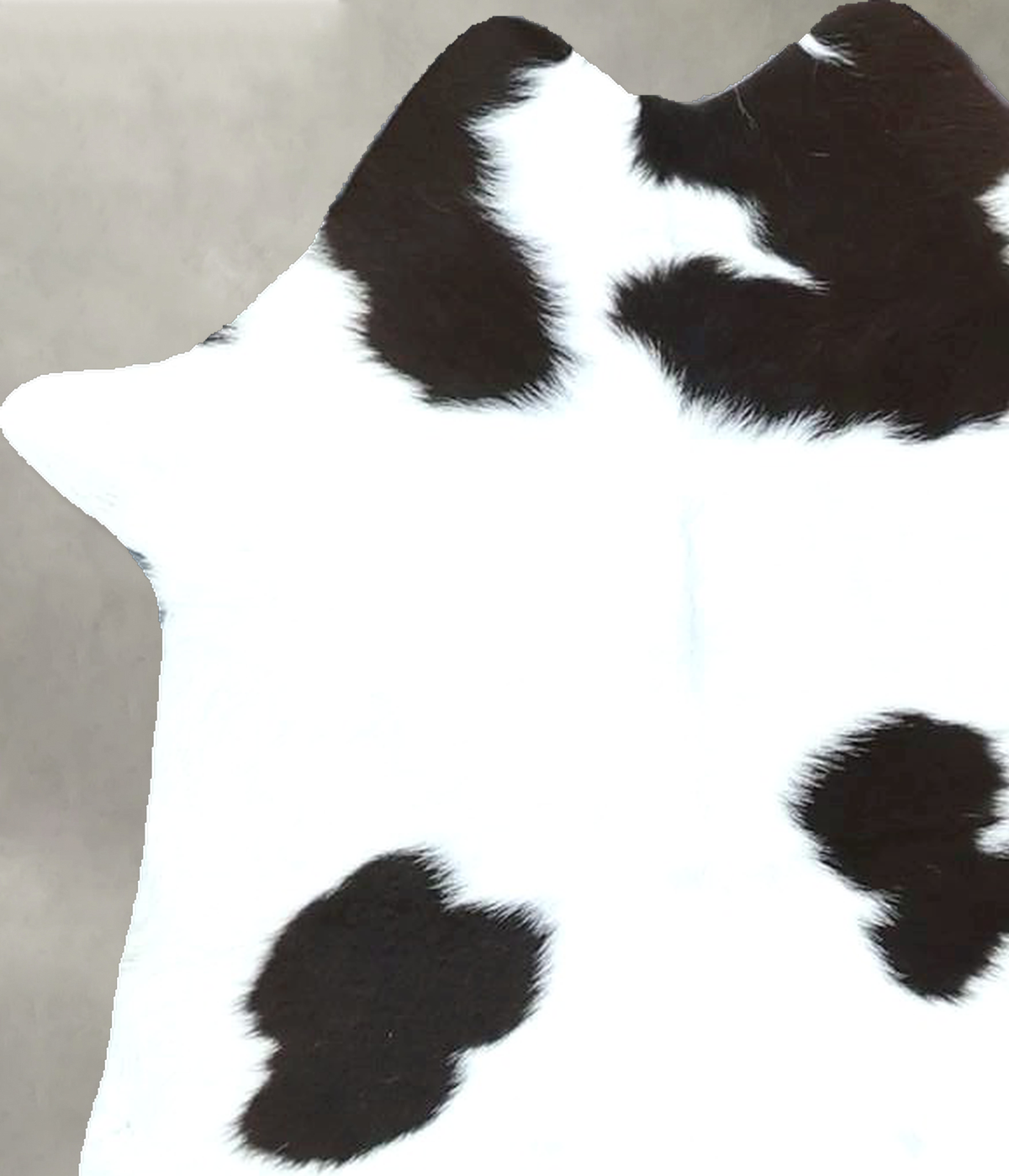 Calfhide Approx 2'x3' #B22075 by Hudson Hides