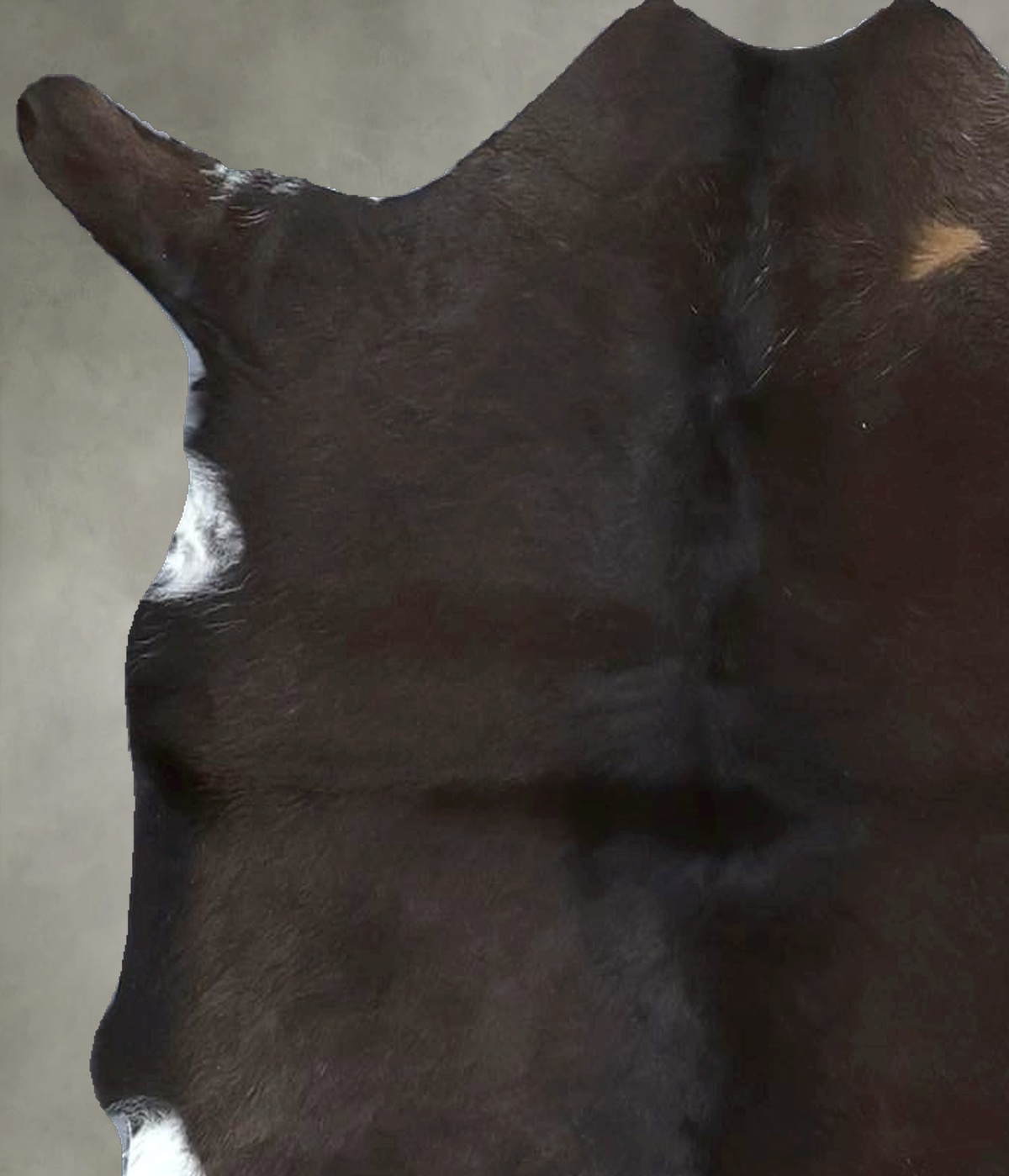 Calfhide Approx 2'x3' #B22079 by Hudson Hides