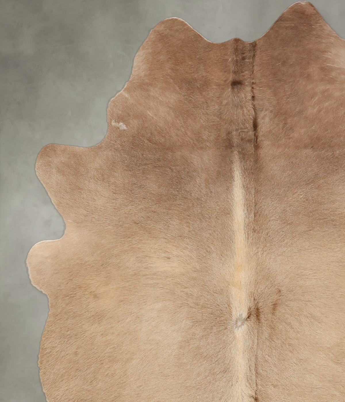 Taupe X-Large Brazilian Cowhide Rug 7'3"H x 5'7"W #B2208 by Hudson Hides