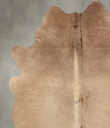 Taupe X-Large Brazilian Cowhide Rug 7'3"H x 5'7"W #B2208 by Hudson Hides