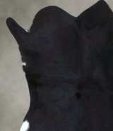 Calfhide Approx 2'x3' #B22080 by Hudson Hides