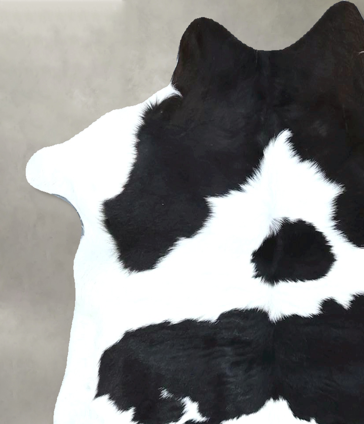 Calfhide Approx 2'x3' #B22083 by Hudson Hides