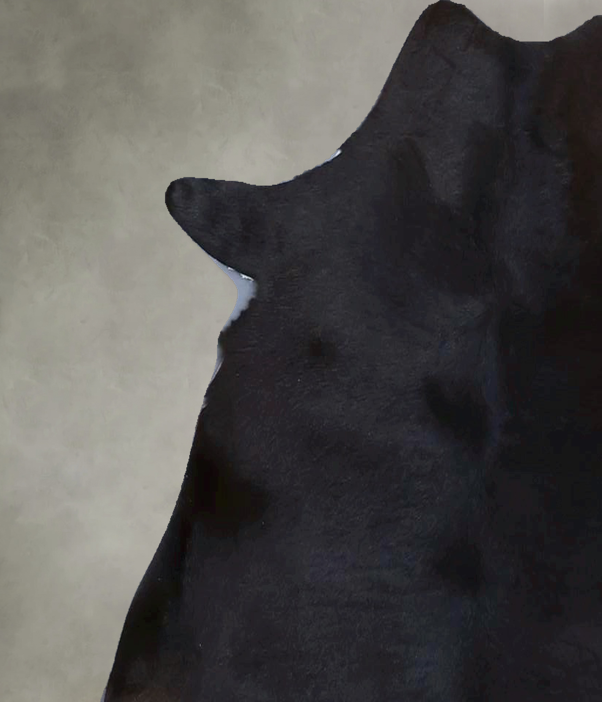 Calfhide Approx 2'x3' #B22087 by Hudson Hides