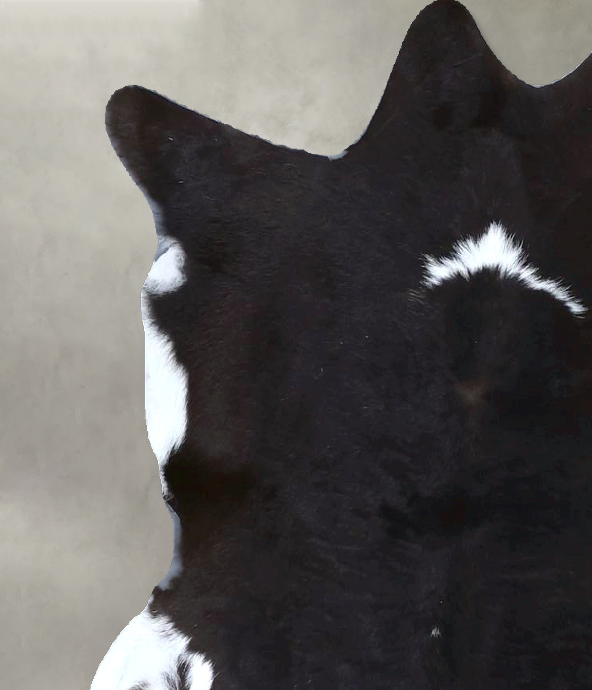 Calfhide Approx 2'x3' #B22088 by Hudson Hides