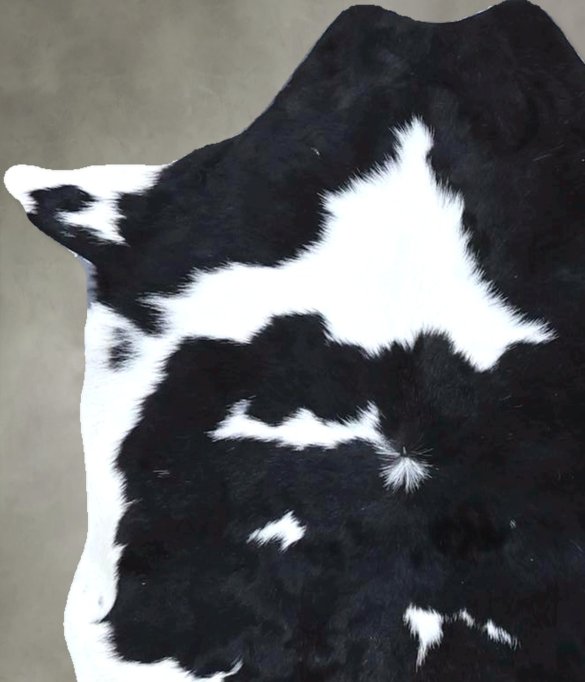 Calfhide Approx 2'x3' #B22089 by Hudson Hides