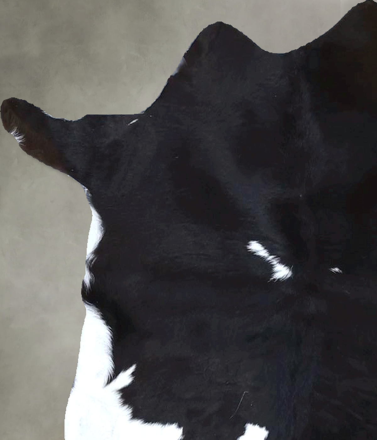 Calfhide Approx 2'x3' #B22090 by Hudson Hides