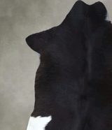 Calfhide Approx 2'x3' #B22093 by Hudson Hides