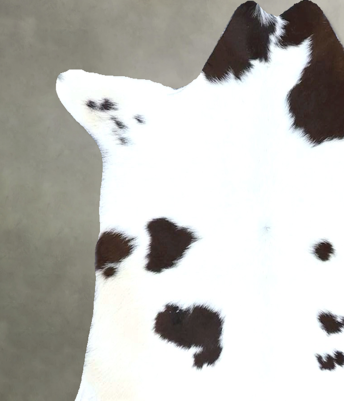 Calfhide Approx 2'x3' #B22094 by Hudson Hides