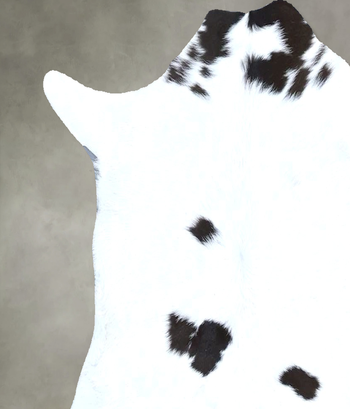 Calfhide Approx 2'x3' #B22097 by Hudson Hides