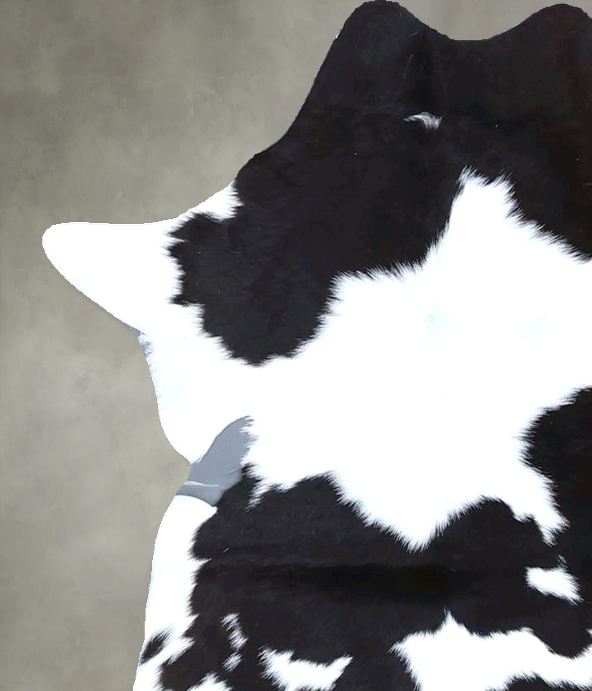 Calfhide Approx 2'x3' #B22102 by Hudson Hides