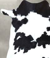 Calfhide Approx 2'x3' #B22104 by Hudson Hides