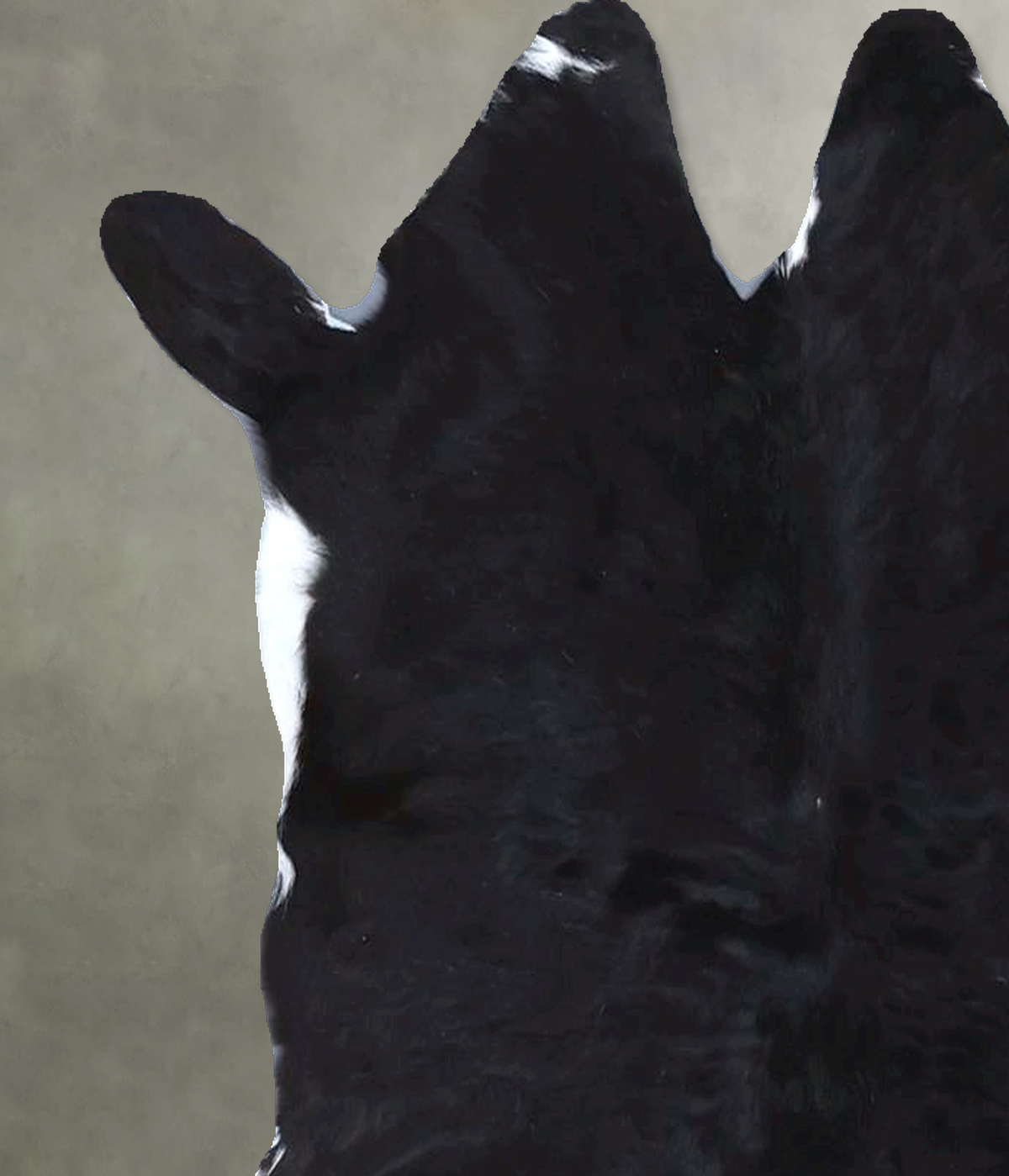 Calfhide Approx 2'x3' #B22108 by Hudson Hides
