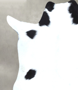 Calfhide Approx 2'x3' #B22109 by Hudson Hides