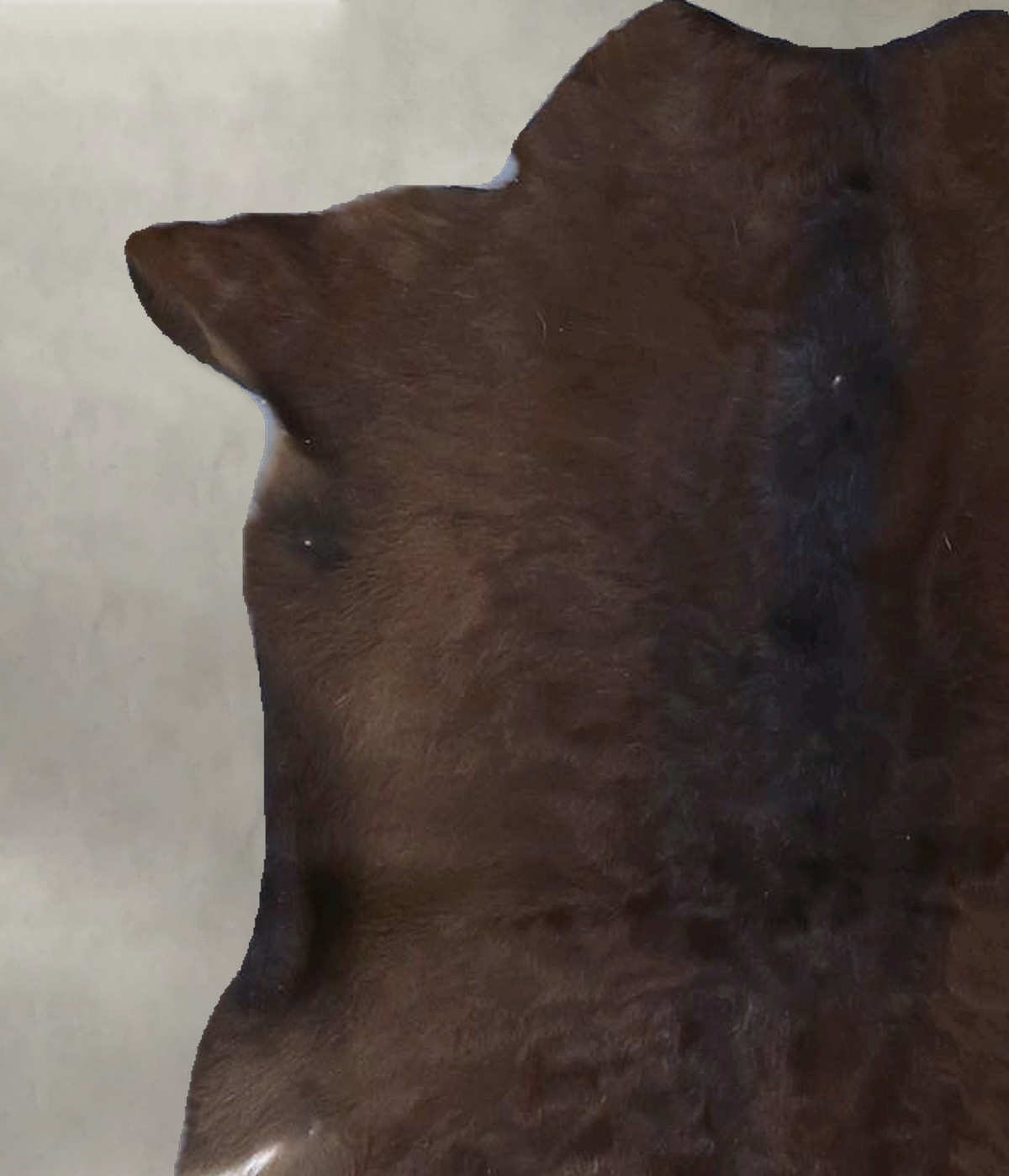 Calfhide Approx 2'x3' #B22113 by Hudson Hides
