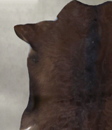 Calfhide Approx 2'x3' #B22113 by Hudson Hides