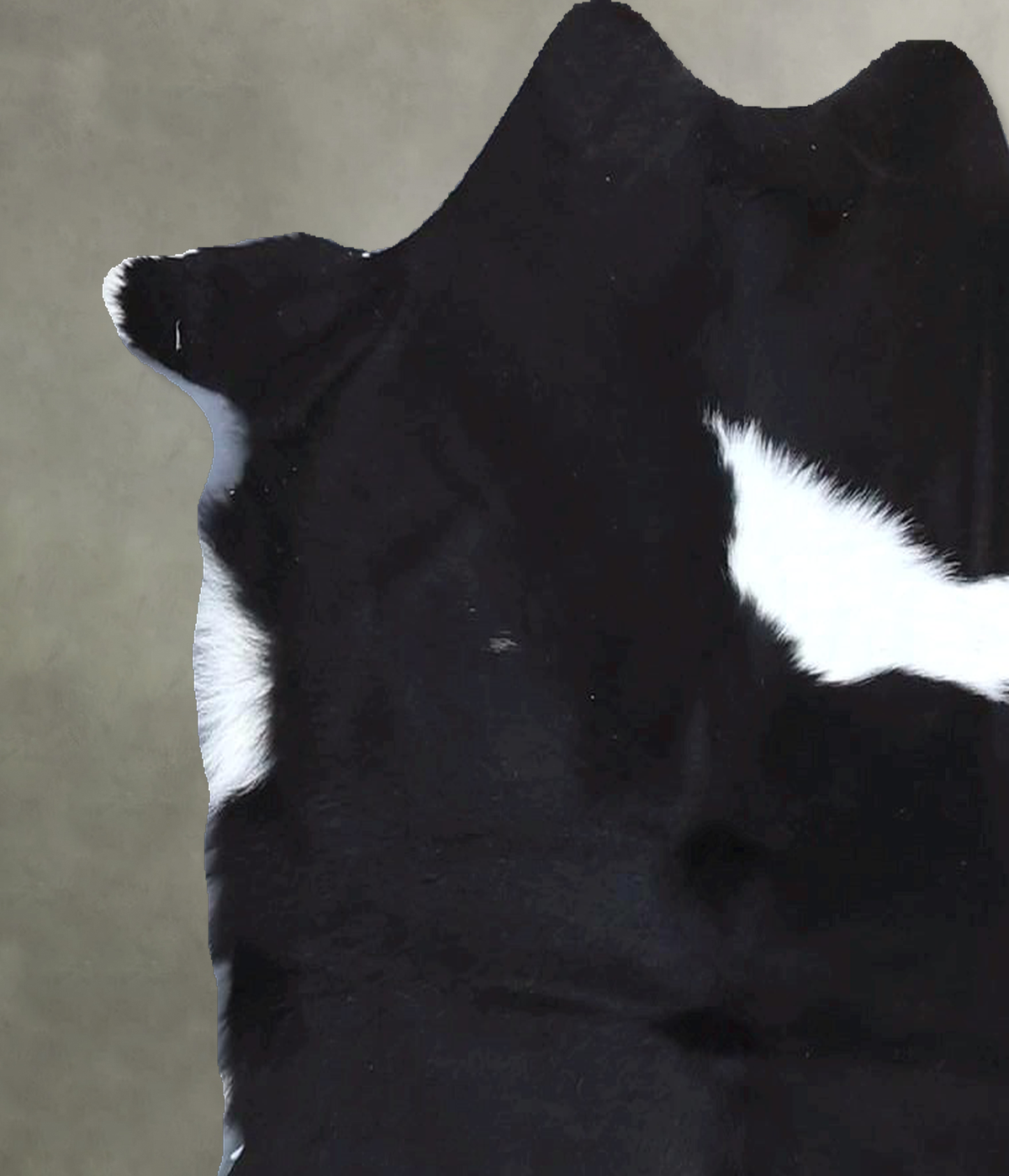 Calfhide Approx 2'x3' #B22114 by Hudson Hides