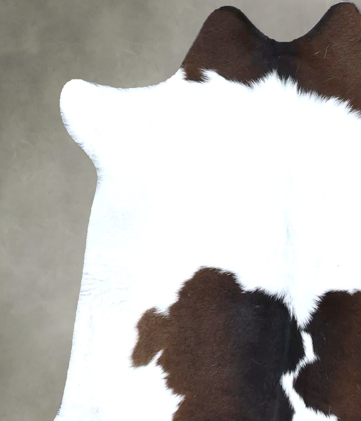 Calfhide Approx 2'x3' #B22115 by Hudson Hides