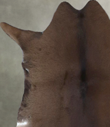 Calfhide Approx 2'x3' #B22118 by Hudson Hides