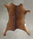 Calfhide Approx 2'x3' #B22120 by Hudson Hides