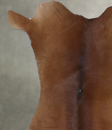Calfhide Approx 2'x3' #B22120 by Hudson Hides