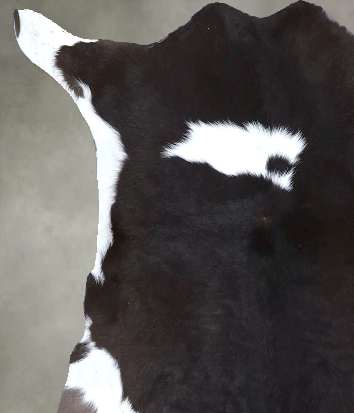 Calfhide Approx 2'x3' #B22122 by Hudson Hides