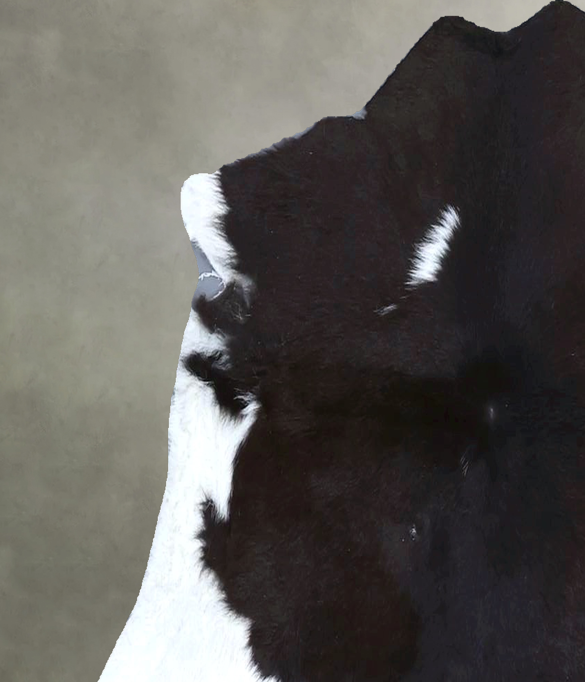 Calfhide Approx 2'x3' #B22123 by Hudson Hides