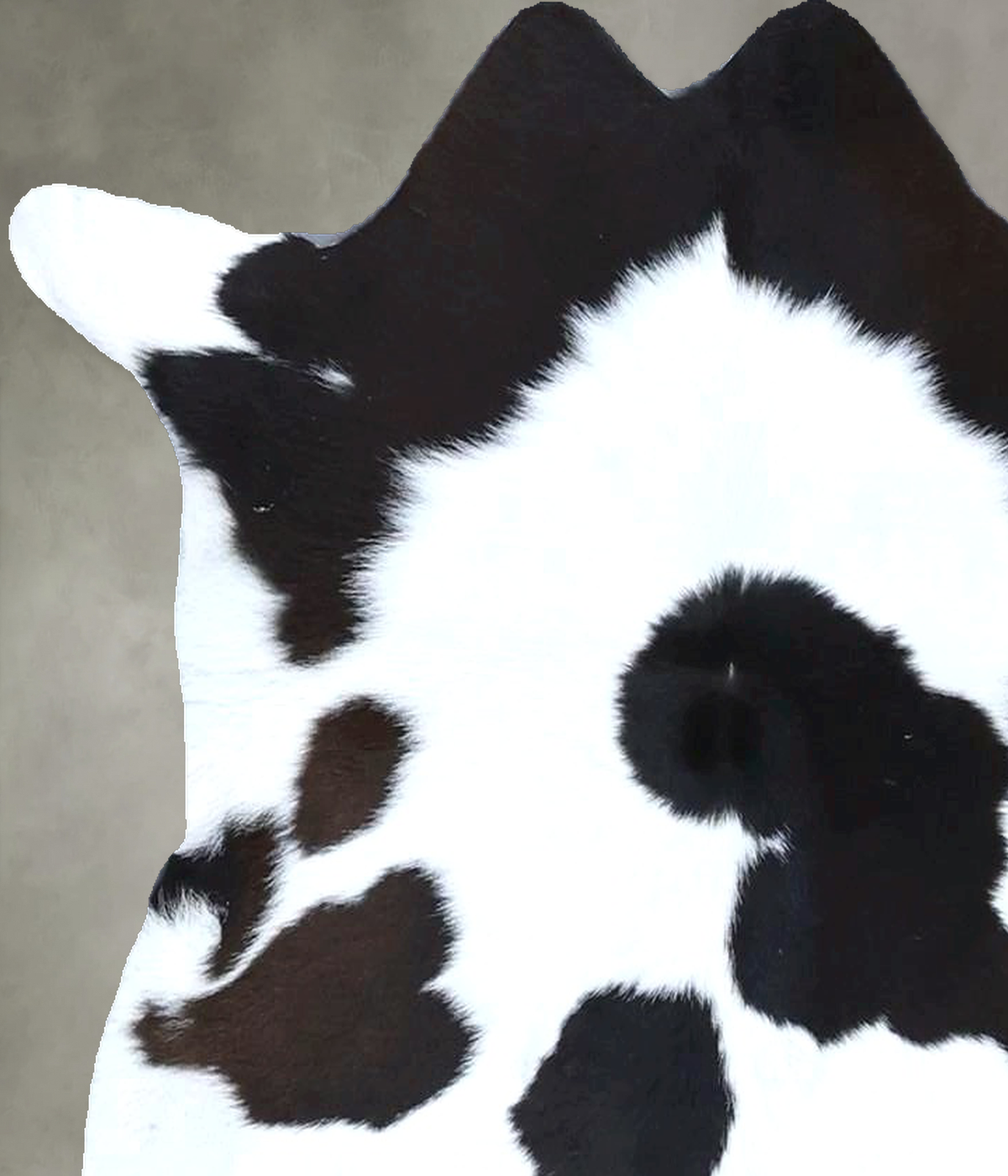 Calfhide Approx 2'x3' #B22124 by Hudson Hides