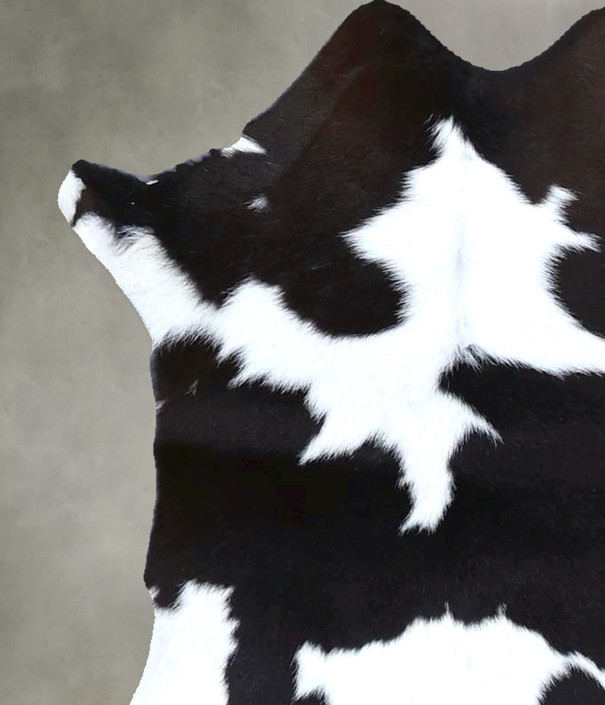 Calfhide Approx 2'x3' #B22125 by Hudson Hides