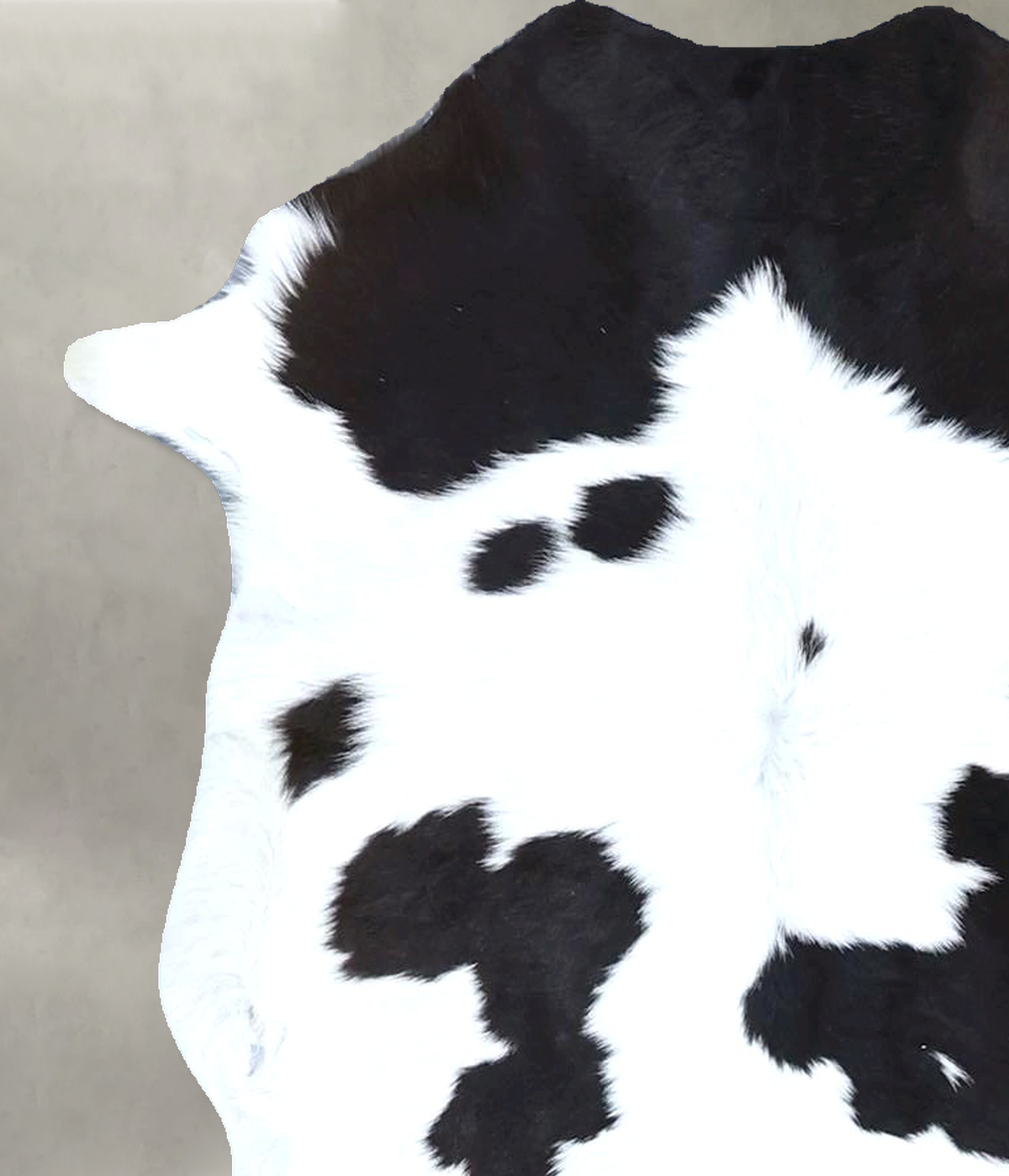 Calfhide Approx 2'x3' #B22126 by Hudson Hides