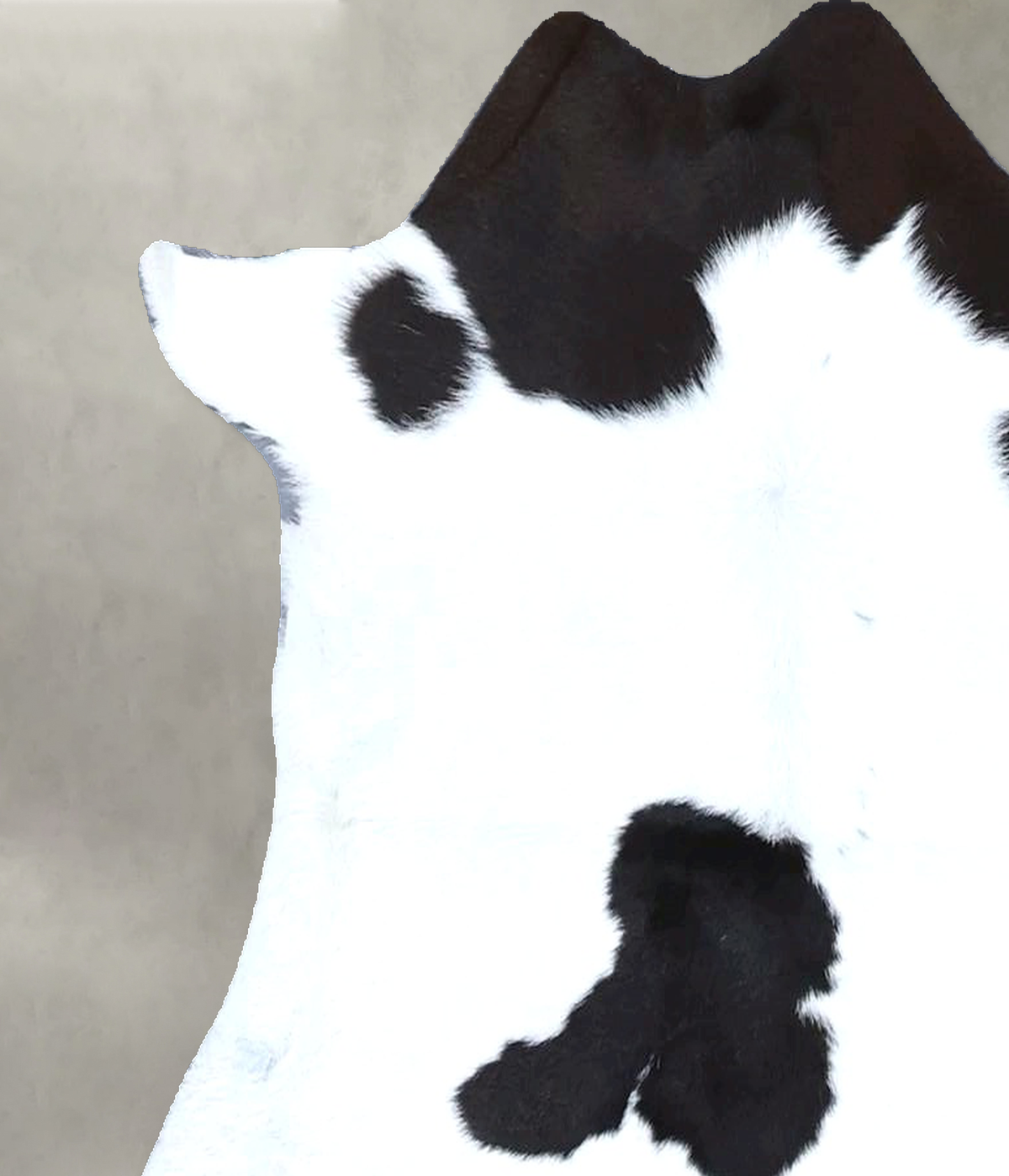 Calfhide Approx 2'x3' #B22128 by Hudson Hides