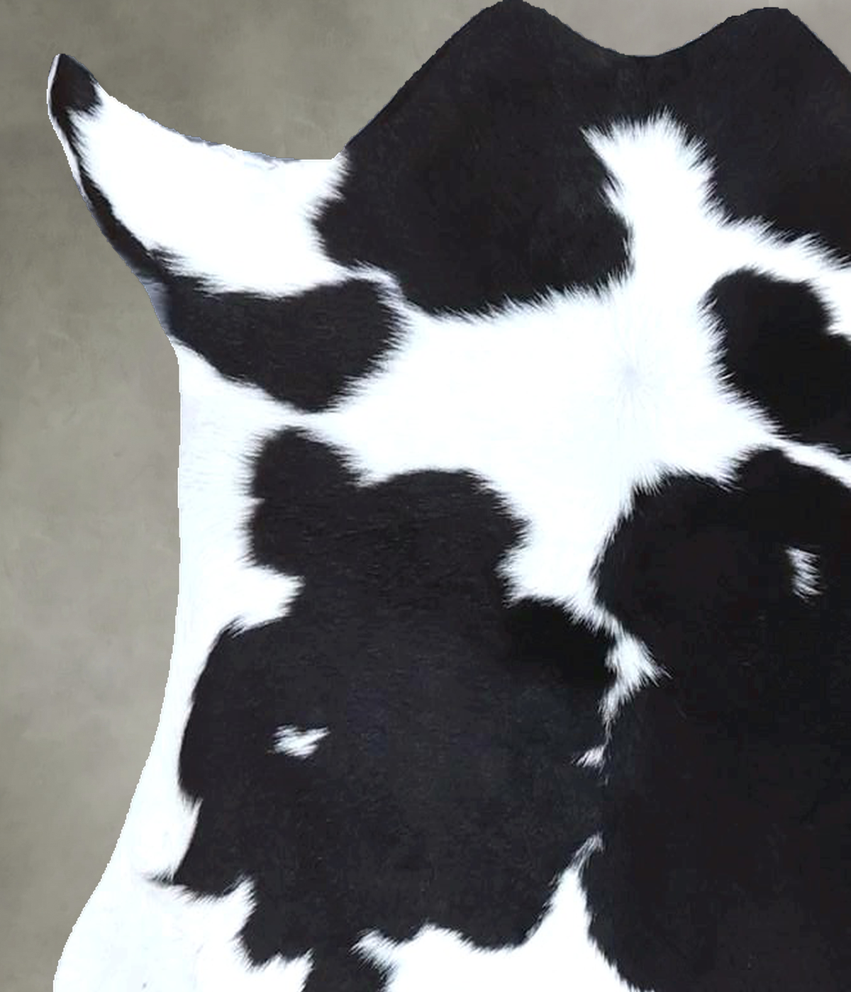 Calfhide Approx 2'x3' #B22130 by Hudson Hides
