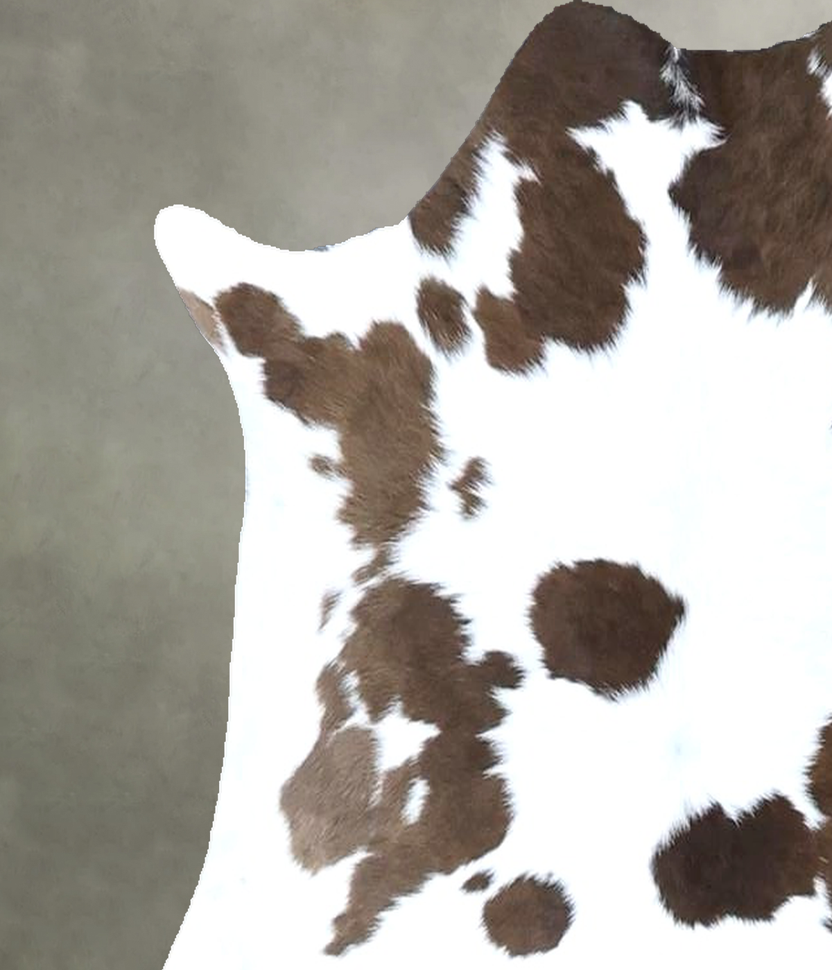 Calfhide Approx 2'x3' #B22134 by Hudson Hides