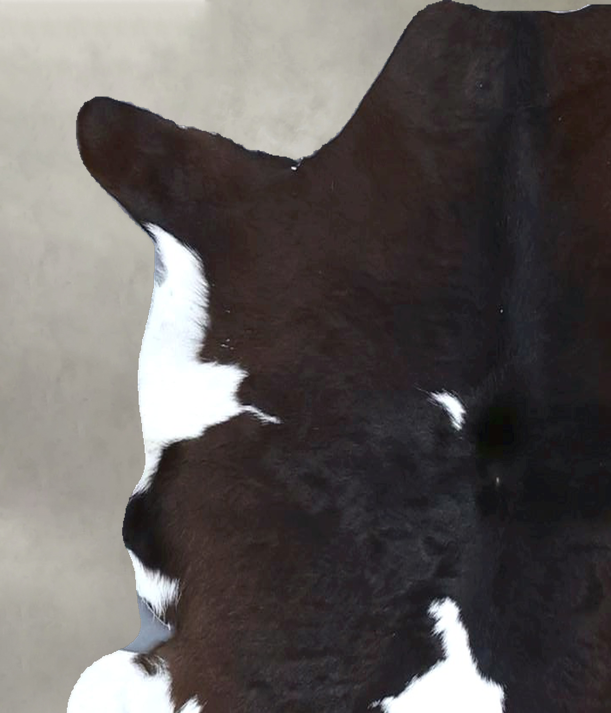 Calfhide Approx 2'x3' #B22136 by Hudson Hides