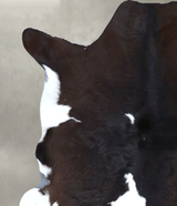 Calfhide Approx 2'x3' #B22136 by Hudson Hides