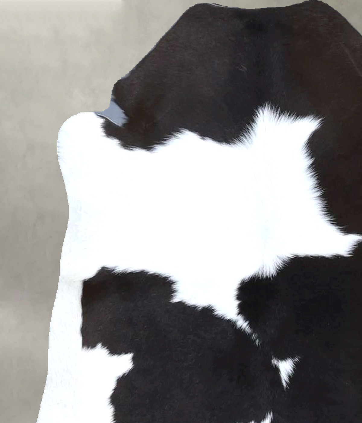 Calfhide Approx 2'x3' #B22137 by Hudson Hides