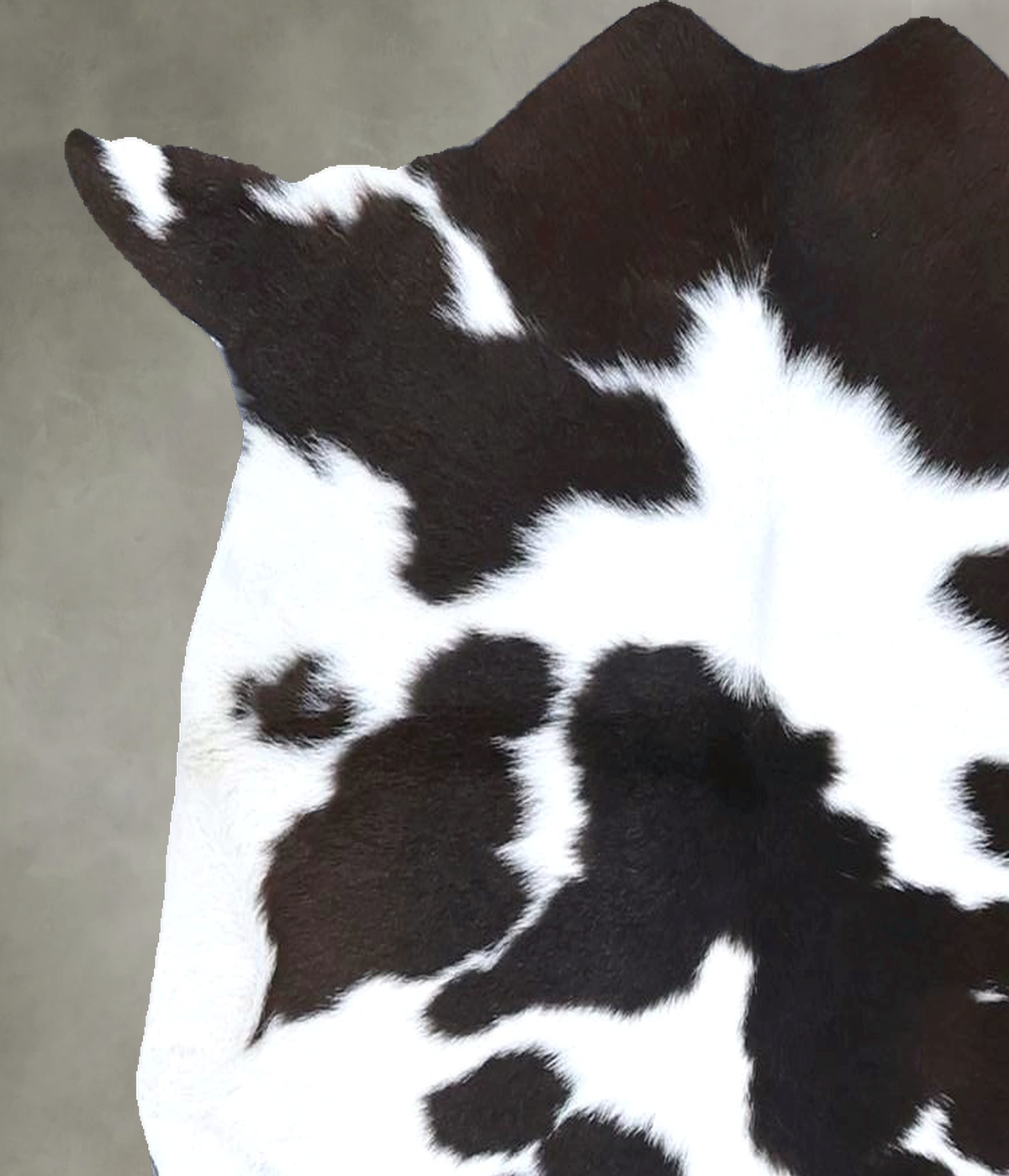 Calfhide Approx 2'x3' #B22138 by Hudson Hides