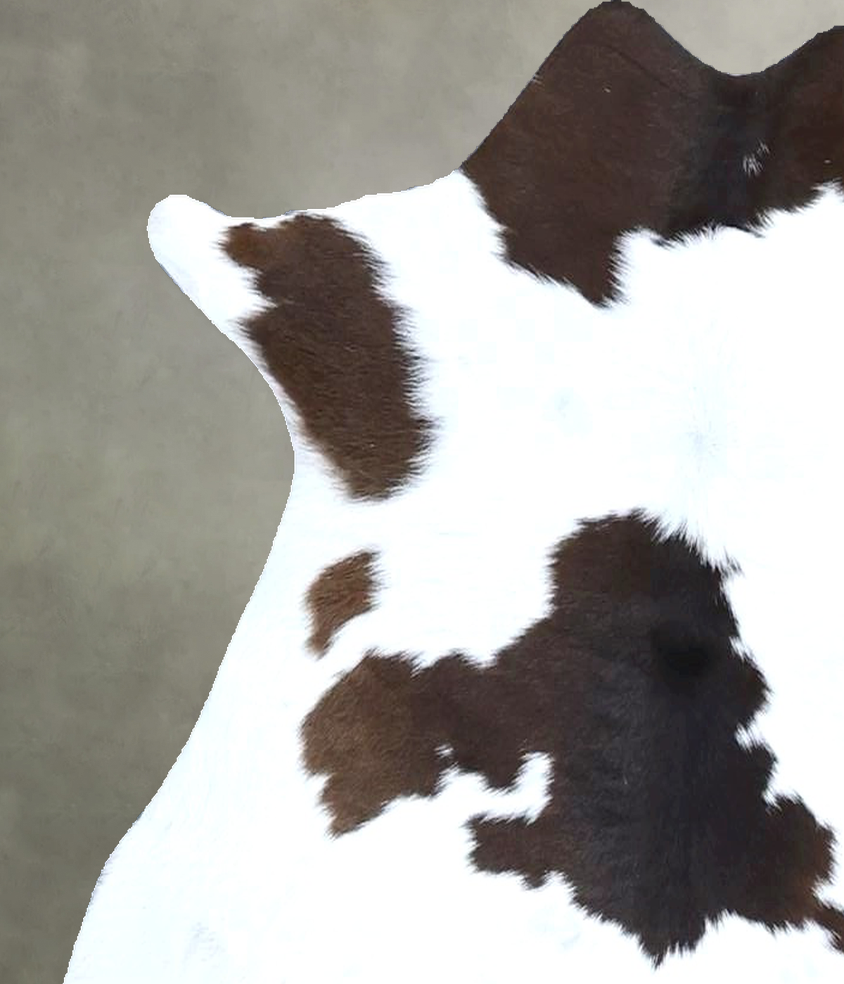 Calfhide Approx 2'x3' #B22141 by Hudson Hides
