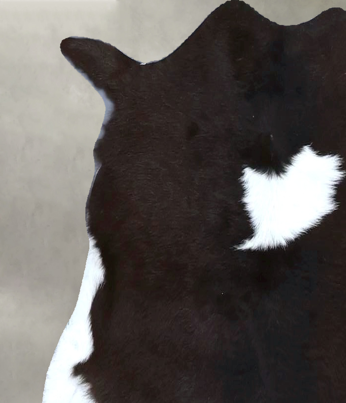 Calfhide Approx 2'x3' #B22142 by Hudson Hides