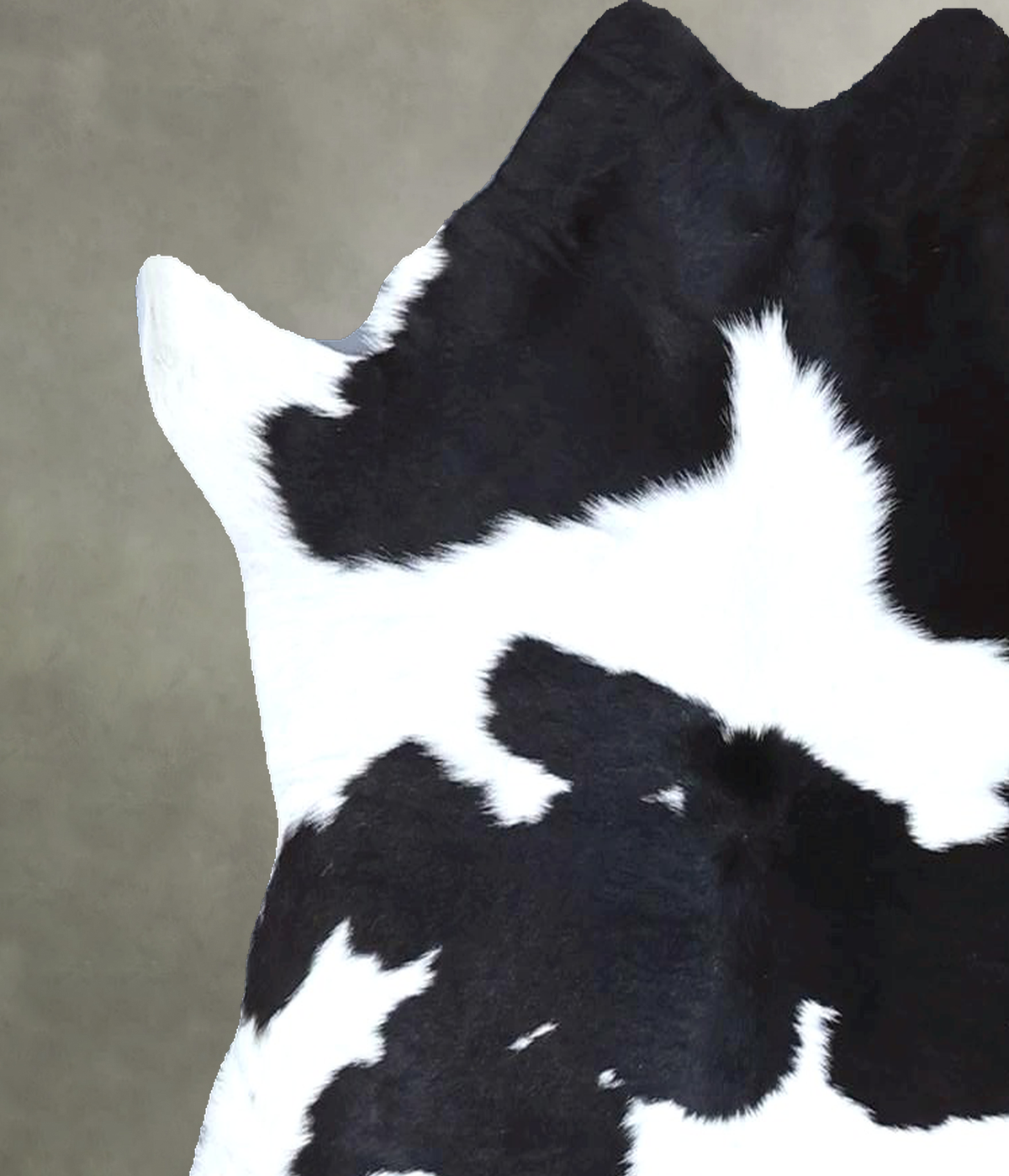 Calfhide Approx 2'x3' #B22147 by Hudson Hides