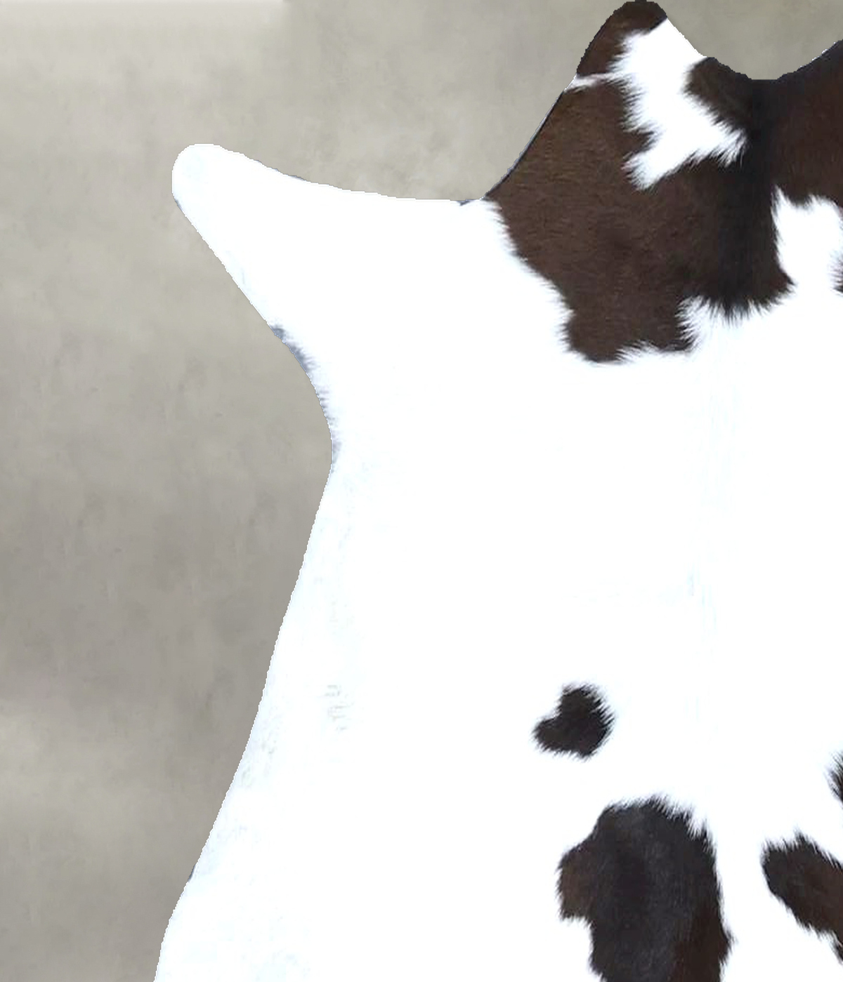 Calfhide Approx 2'x3' #B22149 by Hudson Hides