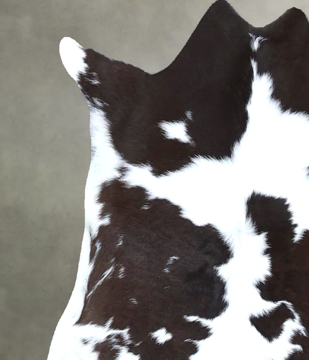 Calfhide Approx 2'x3' #B22150 by Hudson Hides