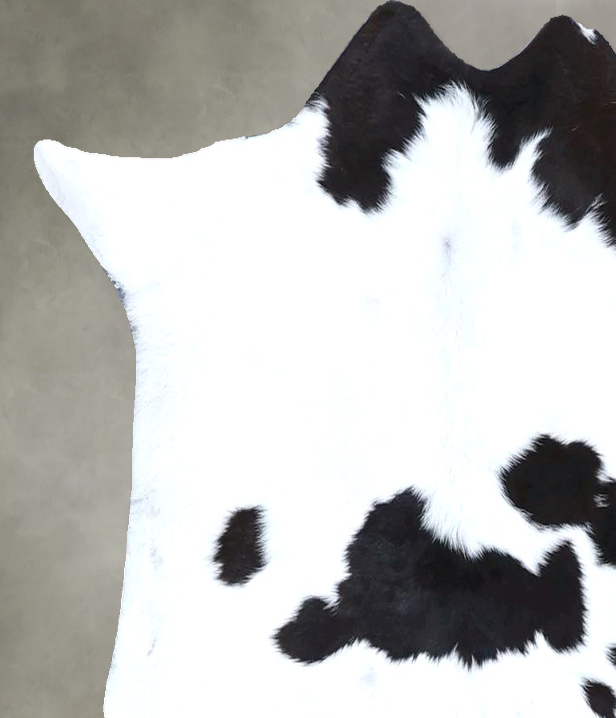 Calfhide Approx 2'x3' #B22151 by Hudson Hides