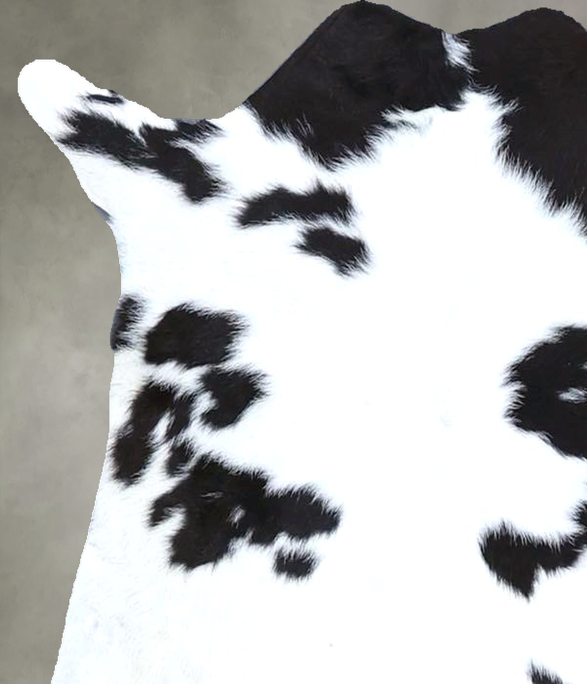Calfhide Approx 2'x3' #B22152 by Hudson Hides