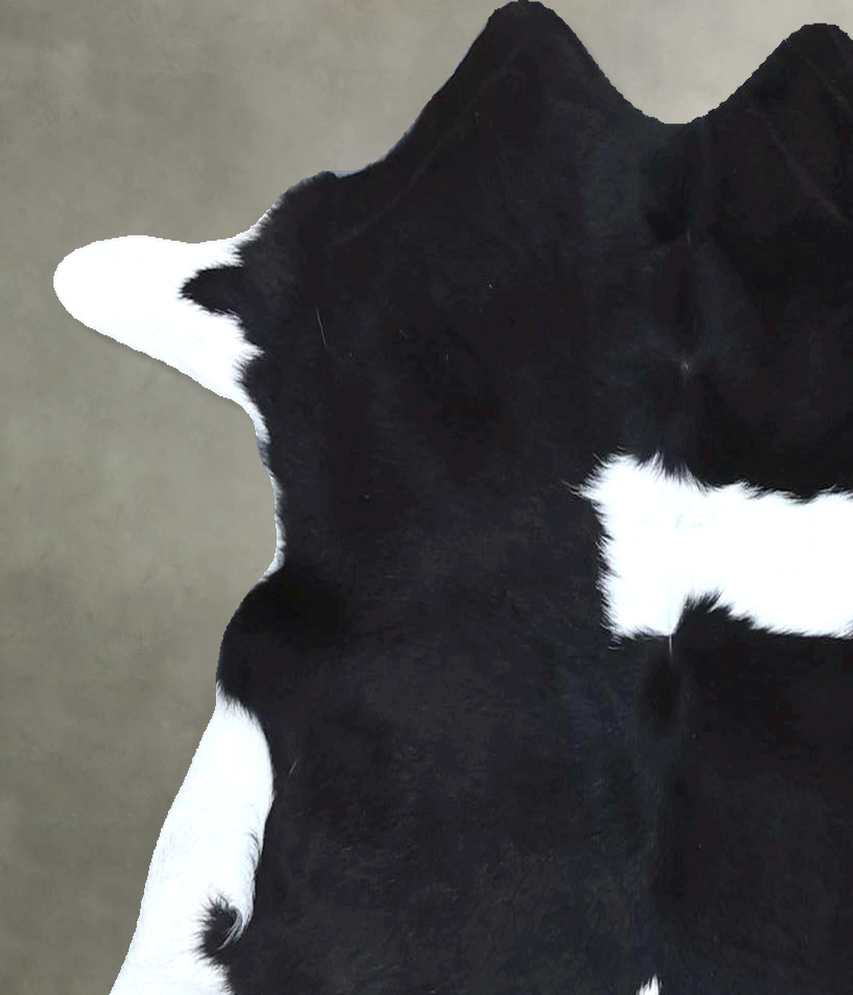 Calfhide Approx 2'x3' #B22153 by Hudson Hides